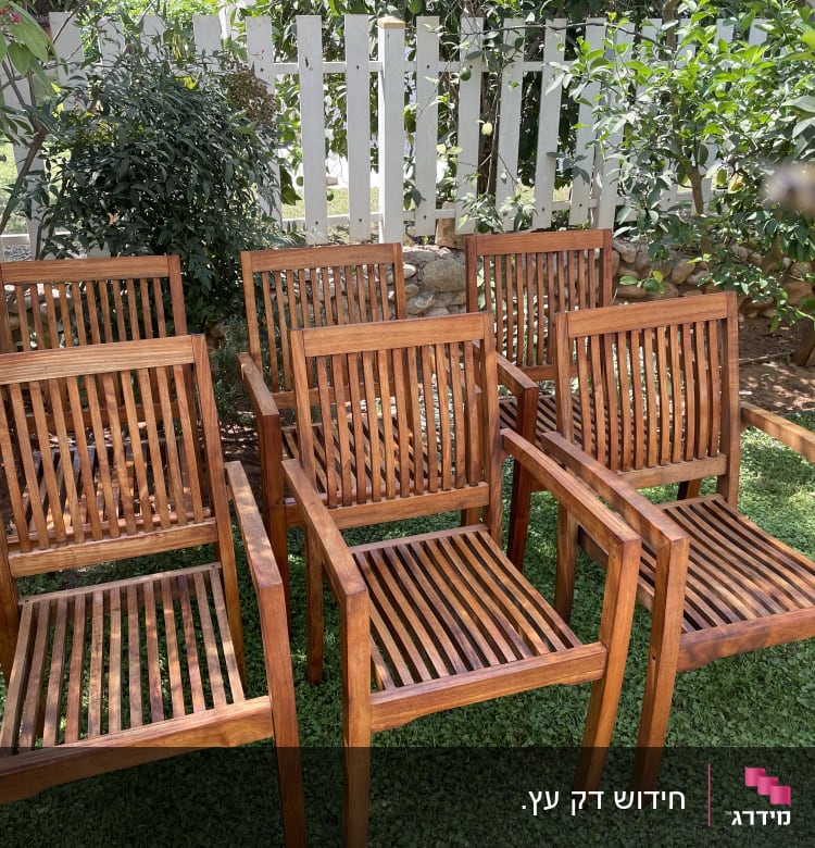 כיסאות עץ בגינה על דשא ירוק